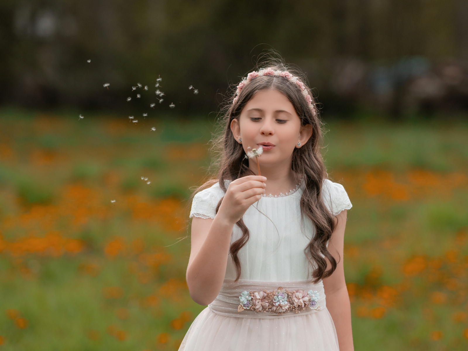 reportatge comunio Andorra reportatge comunio Andorra