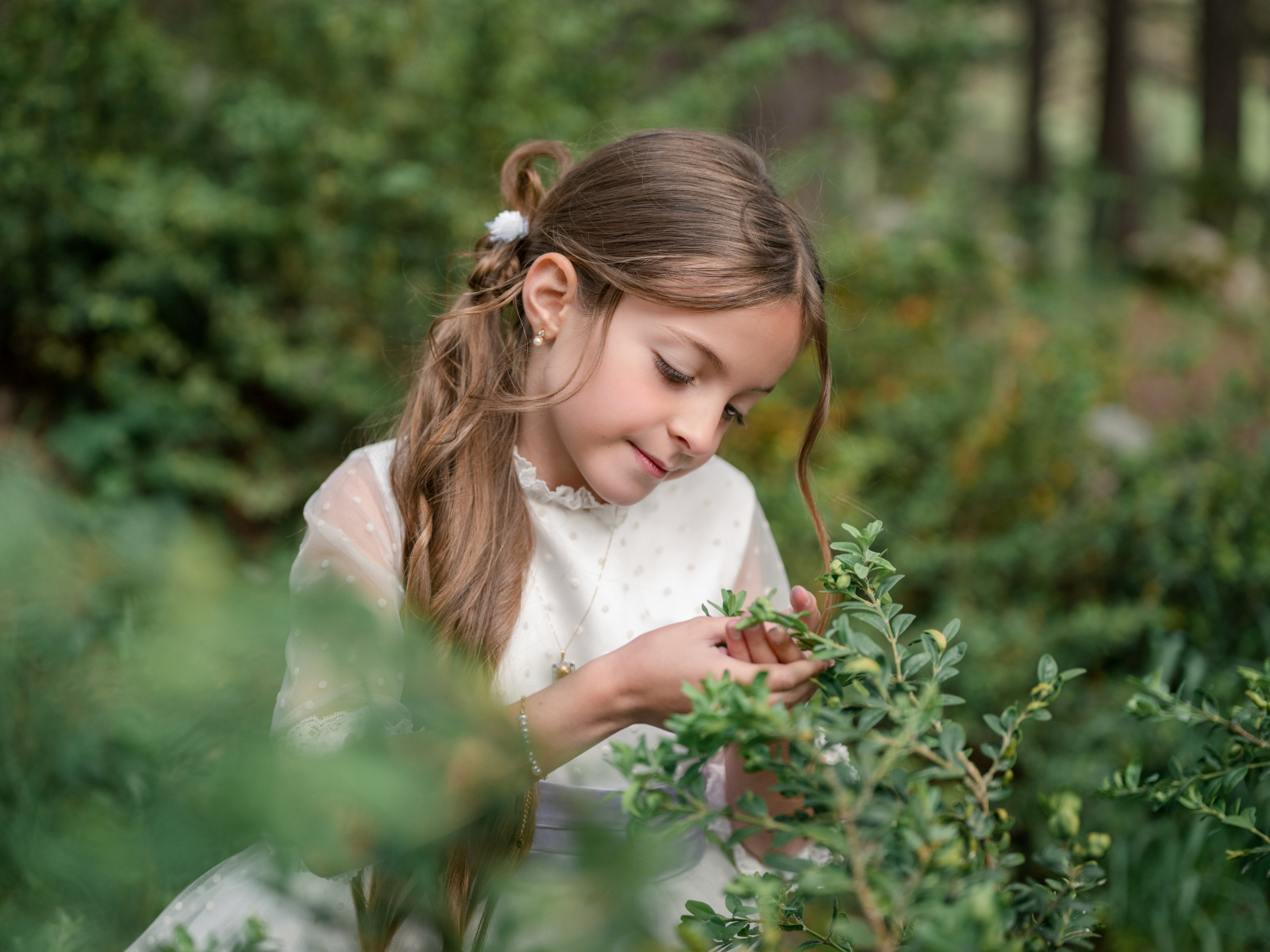 sessio comunio exterior Andorra sessio comunio exterior Andorra